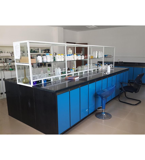 Laboratory 10
